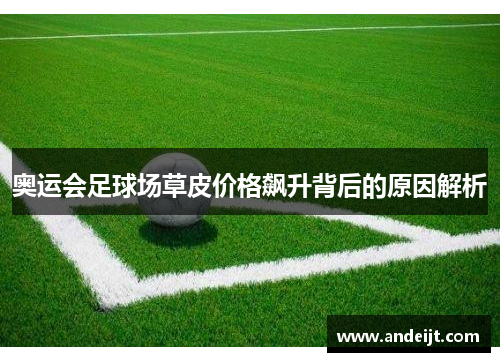 奥运会足球场草皮价格飙升背后的原因解析